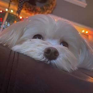 Meet your Posher, Terri